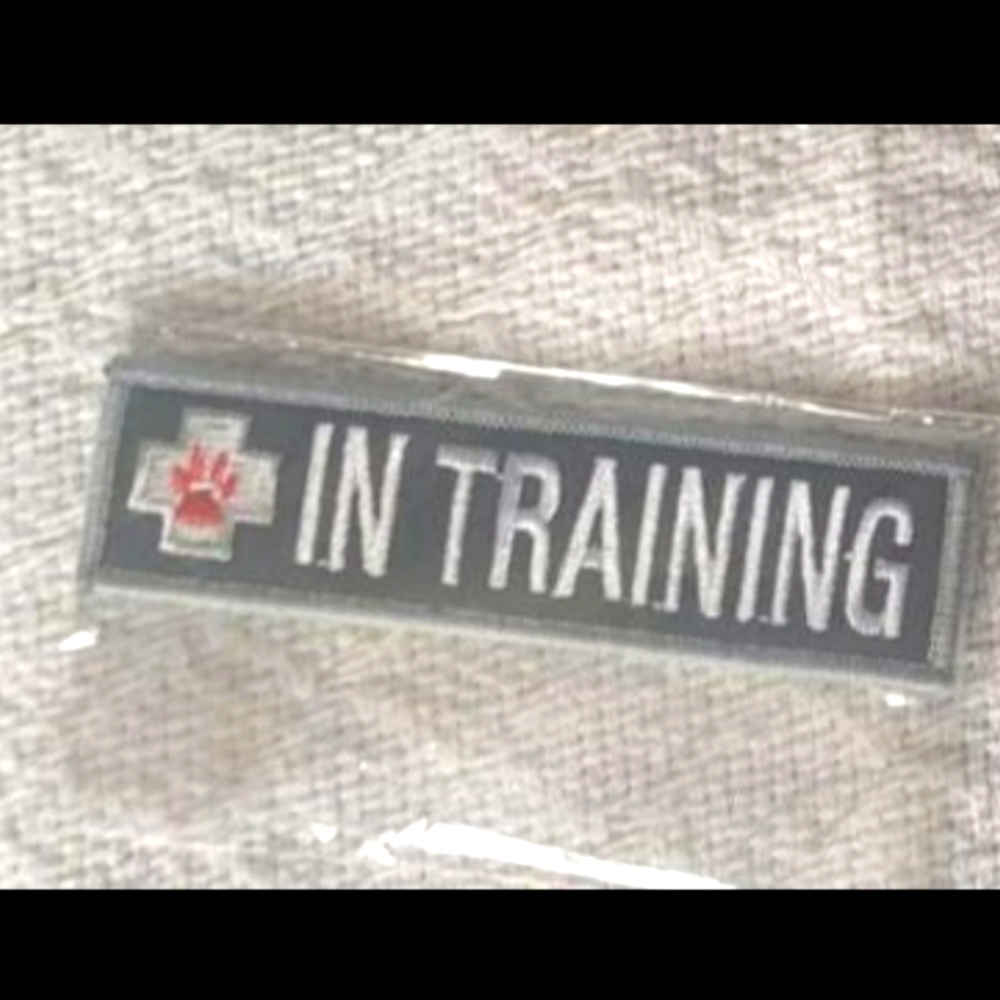 Velcro " in training"